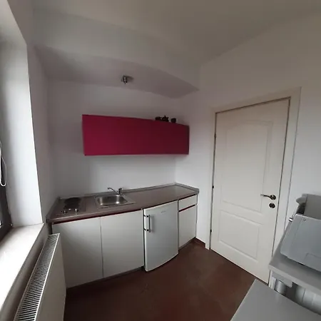 Vila Pax Apartment Techirghiol