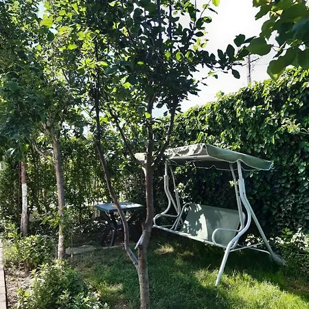 Apartment Vila Pax